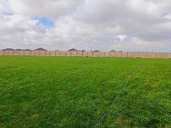 120 sot torpaq satış, Buzovna q., Xəzər r., Bakı ş. / şəkil 3 / 6