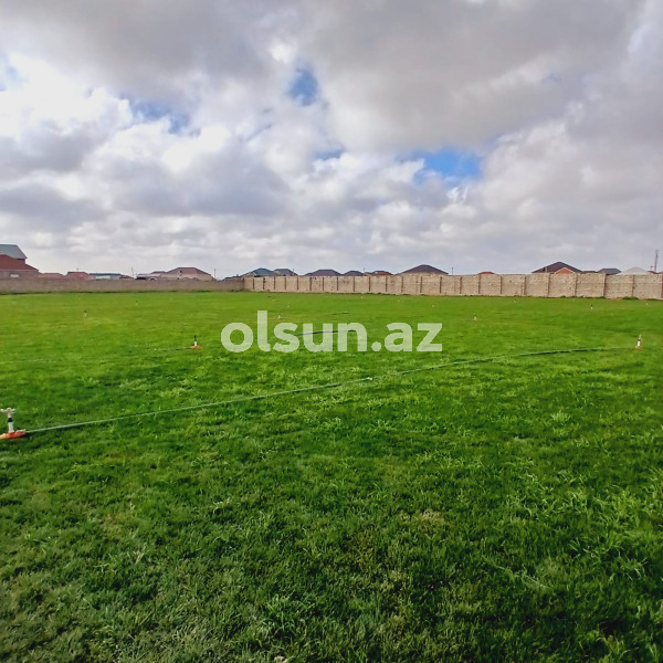 120 sot torpaq satış, Buzovna q., Xəzər r., Bakı ş. / şəkil 1 / 6