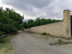 120 sot torpaq satış, Buzovna q., Xəzər r., Bakı ş. / şəkil 3 / 6