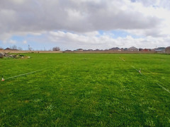 120 sot torpaq satış, Buzovna q., Xəzər r., Bakı ş. / şəkil 5 / 6