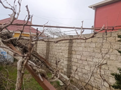 3 otaq 65 m² ev / villa satış, Maştağa q., Sabunçu r., Bakı ş. / şəkil 5 / 15