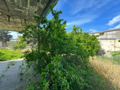 11 sot torpaq satış, Mərdəkan q., Xəzər r., Bakı ş. / şəkil 3 / 11