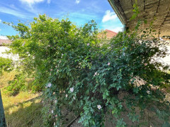 11 sot torpaq satış, Mərdəkan q., Xəzər r., Bakı ş. / şəkil 5 / 11