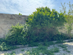 11 sot torpaq satış, Qala q., Xəzər r., Bakı ş. / şəkil 2 / 11