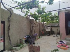 3 otaq 100 m² ev / villa satış, Maştağa q., Sabunçu r., Bakı ş. / şəkil 2 / 14