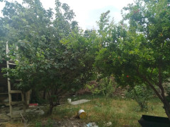 3 otaq 100 m² ev / villa satış, Maştağa q., Sabunçu r., Bakı ş. / şəkil 4 / 14