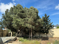 11 sot torpaq satış, Mərdəkan q., Xəzər r., Bakı ş. / şəkil 5 / 11