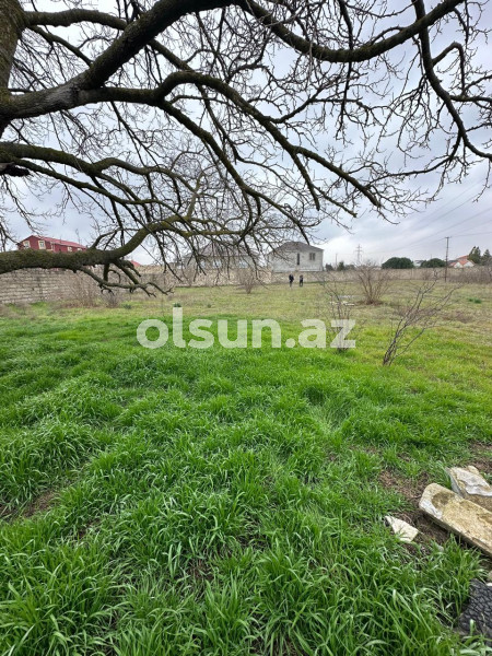 26 sot torpaq satış, Buzovna q., Xəzər r., Bakı ş. / şəkil 1 / 13