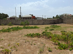 15 sot torpaq satış, Mərdəkan q., Xəzər r., Bakı ş. / şəkil 2 / 9