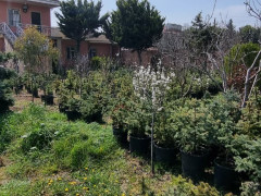 10.6 sot torpaq satış, Buzovna q., Xəzər r., Bakı ş. / şəkil 4 / 10