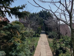 10.6 sot torpaq satış, Buzovna q., Xəzər r., Bakı ş. / şəkil 5 / 10