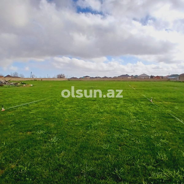 120 sot torpaq satış, Buzovna q., Xəzər r., Bakı ş. / şəkil 1 / 4