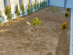 3 otaq 90 m² ev / villa satış, Qala q., Xəzər r., Bakı ş. / şəkil 3 / 18