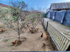 3 otaq 90 m² ev / villa satış, Maştağa q., Sabunçu r., Bakı ş. / şəkil 5 / 11