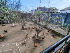 3 otaq 90 m² ev / villa satış, Maştağa q., Sabunçu r., Bakı ş. / şəkil 2 / 10