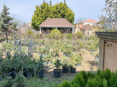 10.6 sot torpaq satış, Buzovna q., Xəzər r., Bakı ş. / şəkil 2 / 11