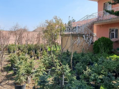 10.6 sot torpaq satış, Buzovna q., Xəzər r., Bakı ş. / şəkil 3 / 11