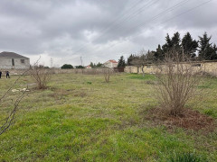 20 sot torpaq satış, Buzovna q., Xəzər r., Bakı ş. / şəkil 4 / 5