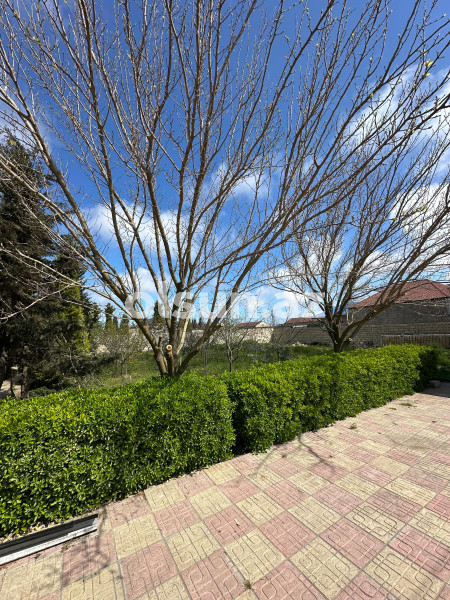 9 sot torpaq satış, Maştağa q., Sabunçu r., Bakı ş. / şəkil 1 / 6