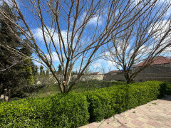 9 sot torpaq satış, Maştağa q., Sabunçu r., Bakı ş. / şəkil 1 / 6