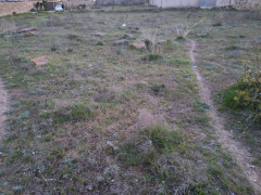 25 sot torpaq satış, Maştağa q., Sabunçu r., Bakı ş. / şəkil 1 / 5