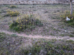 25 sot torpaq satış, Maştağa q., Sabunçu r., Bakı ş. / şəkil 3 / 5