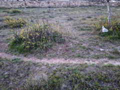 25 sot torpaq satış, Maştağa q., Sabunçu r., Bakı ş. / şəkil 5 / 5