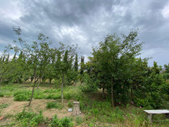 5 otaq 140 m² ev / villa satış, Buzovna q., Xəzər r., Bakı ş. / şəkil 3 / 13