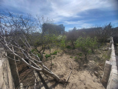 3.9 sot torpaq satış, Buzovna q., Xəzər r., Bakı ş. / şəkil 1 / 4