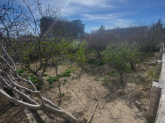 3.9 sot torpaq satış, Buzovna q., Xəzər r., Bakı ş. / şəkil 2 / 4