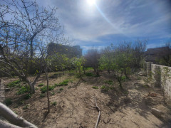 3.9 sot torpaq satış, Buzovna q., Xəzər r., Bakı ş. / şəkil 4 / 4