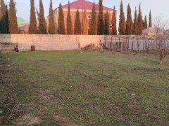 5 sot torpaq satış, Buzovna q., Xəzər r., Bakı ş. / şəkil 2 / 6