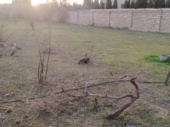 5 sot torpaq satış, Buzovna q., Xəzər r., Bakı ş. / şəkil 4 / 6