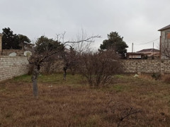 5 sot torpaq satış, Mərdəkan q., Xəzər r., Bakı ş. / şəkil 4 / 4