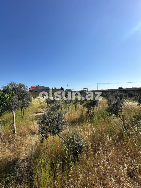 50 sot torpaq satış, Buzovna q., Xəzər r., Bakı ş. / şəkil 1 / 7