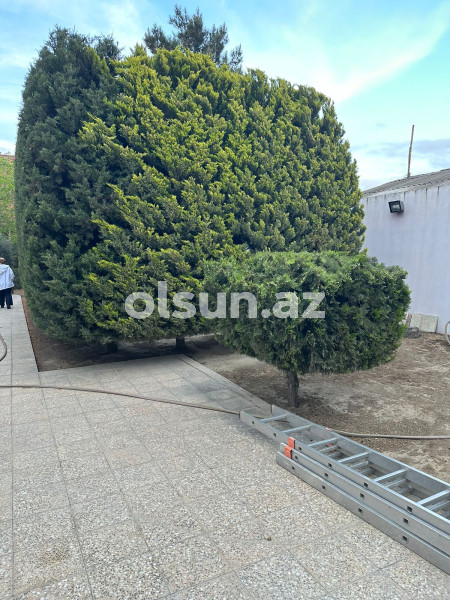 4 otaq 200 m² ev / villa satış, Mərdəkan q., Xəzər r., Bakı ş. / şəkil 1 / 15