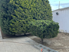 4 otaq 199.8 m² ev / villa satış, Mərdəkan q., Xəzər r., Bakı ş. / şəkil 2 / 16