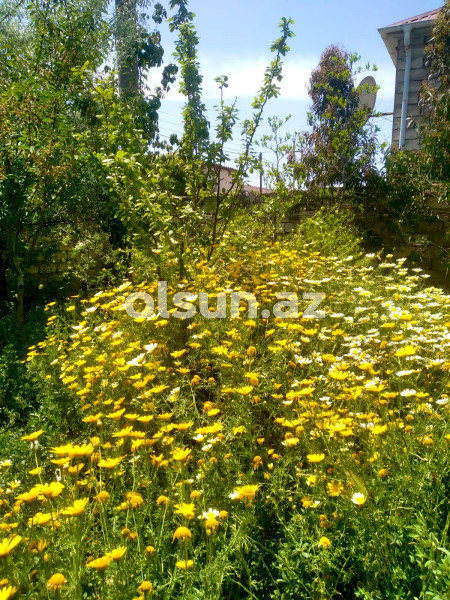3 otaq 60.1 m² ev / villa satış, Buzovna q., Xəzər r., Bakı ş. / şəkil 1 / 17