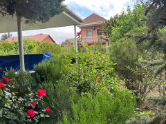 11 sot torpaq satış, Buzovna q., Xəzər r., Bakı ş. / şəkil 2 / 7