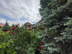 11 sot torpaq satış, Buzovna q., Xəzər r., Bakı ş. / şəkil 5 / 7