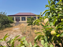 12 sot torpaq satış, Mərdəkan q., Xəzər r., Bakı ş. / şəkil 2 / 6