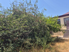 12 sot torpaq satış, Mərdəkan q., Xəzər r., Bakı ş. / şəkil 3 / 6