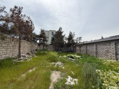 3 sot torpaq satış, Şağan q., Xəzər r., Bakı ş. / şəkil 3 / 5