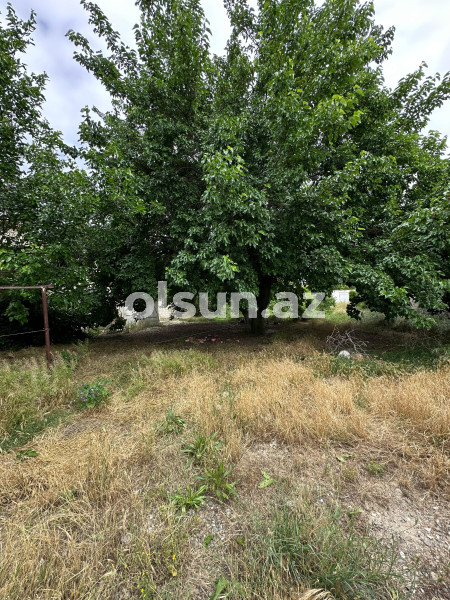 16 sot torpaq satış, Ceyranbatan q., Abşeron r., Bakı ş. / şəkil 1 / 7