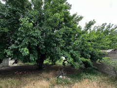 16 sot torpaq satış, Ceyranbatan q., Abşeron r., Bakı ş. / şəkil 2 / 7