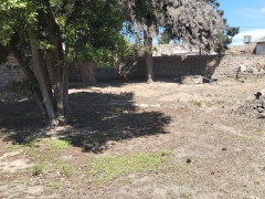 10 sot torpaq satış, Buzovna q., Xəzər r., Bakı ş. / şəkil 4 / 4