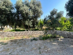 6 sot torpaq satış, Buzovna q., Xəzər r., Bakı ş. / şəkil 2 / 4