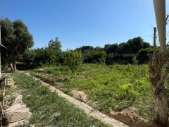 6 sot torpaq satış, Buzovna q., Xəzər r., Bakı ş. / şəkil 3 / 4