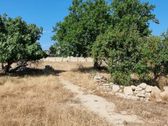 30 sot torpaq satış, Buzovna q., Xəzər r., Bakı ş. / şəkil 4 / 9