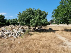 30 sot torpaq satış, Buzovna q., Xəzər r., Bakı ş. / şəkil 3 / 5